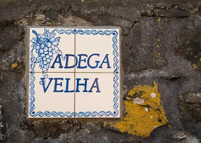 Casa de Férias Adega Velha *