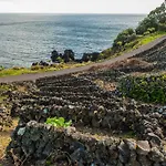 Adega Velha Calheta de Nesquim