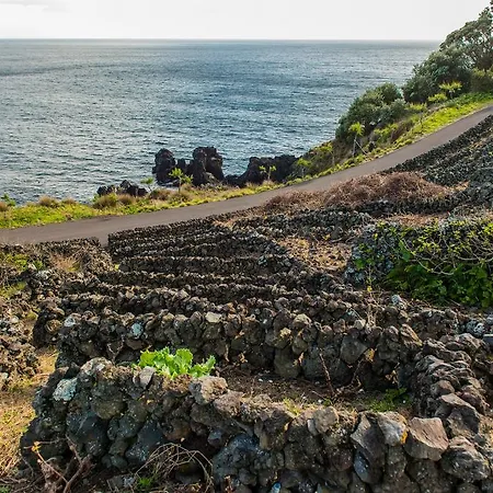Adega Velha Calheta de Nesquim
