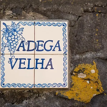 Holiday home Adega Velha *